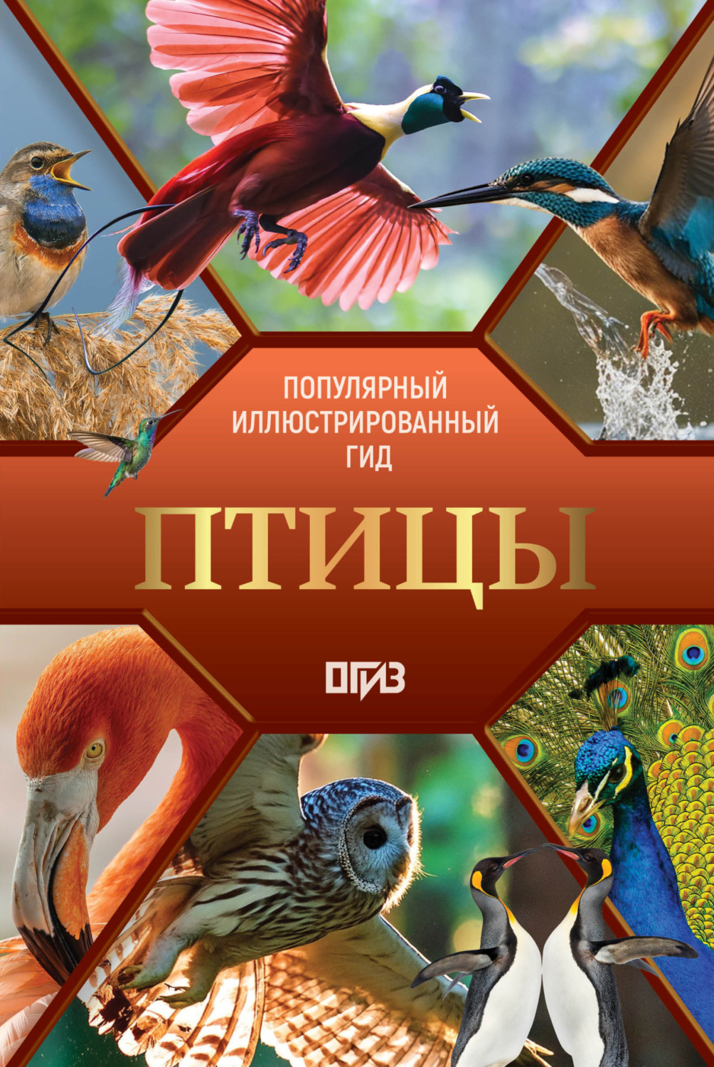 Обложка книги «Птицы. Иллюстрированный гид»