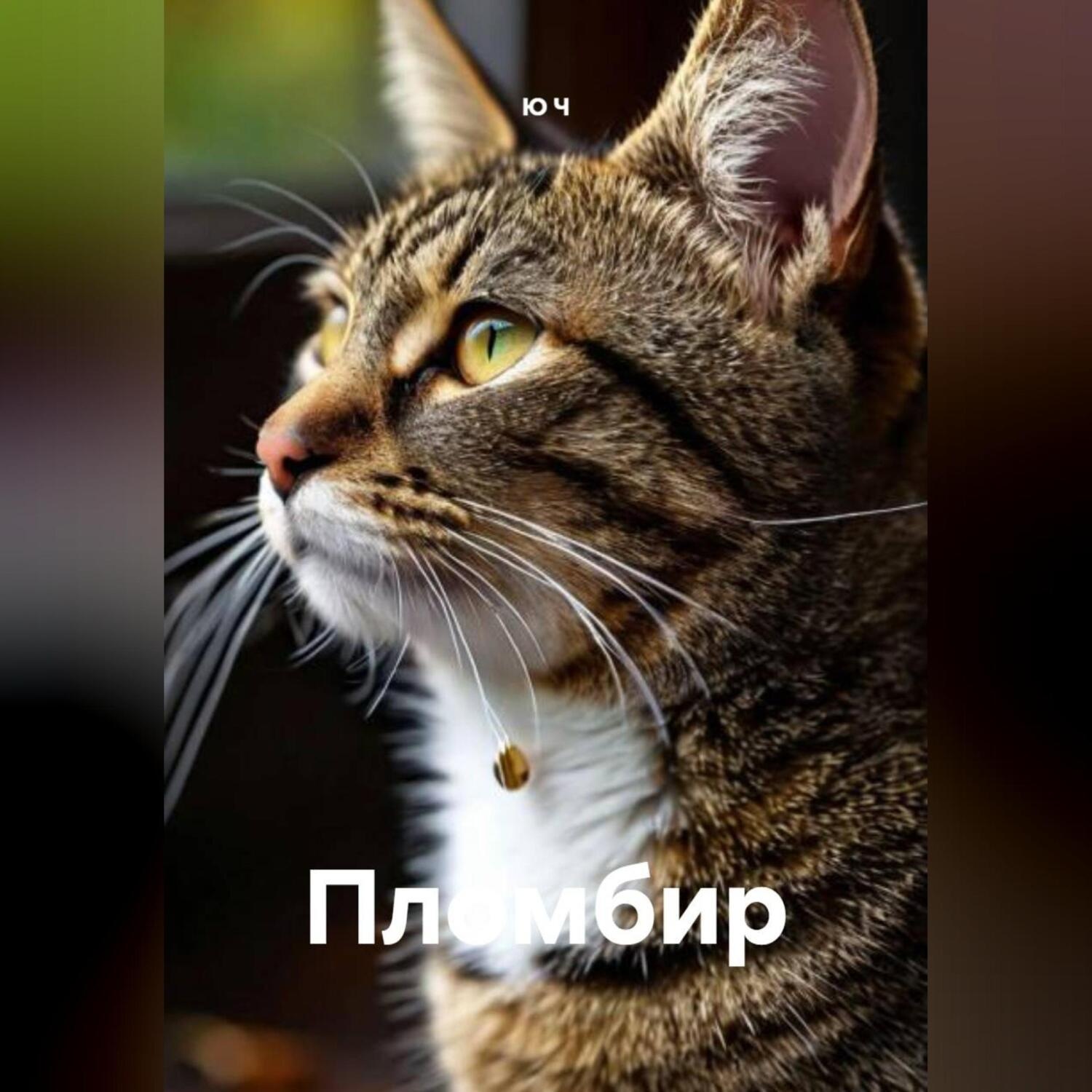 Обложка книги «Пломбир»