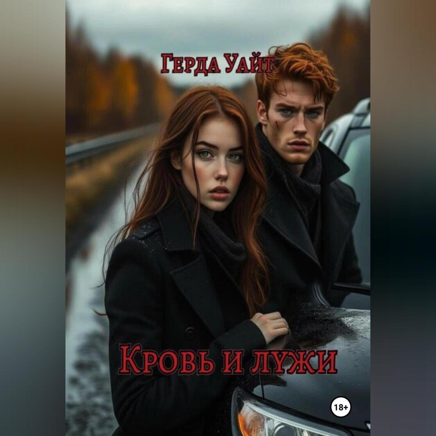 Обложка книги «Кровь и лужи»