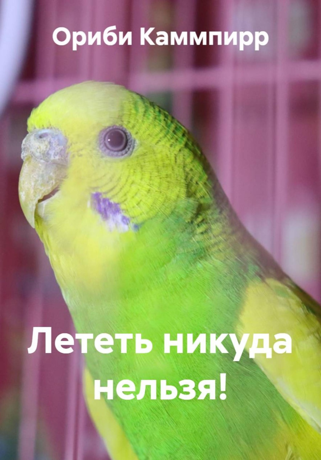 Обложка книги «Лететь никуда нельзя!»