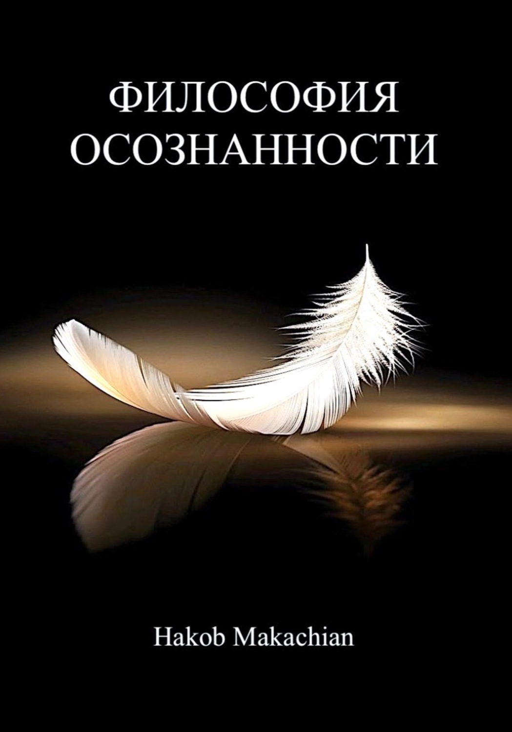 Обложка книги «Философия Осознанности»
