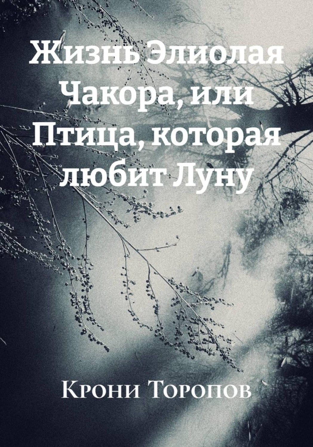 Обложка книги «Жизнь Элиолая Чакора, или Птица, которая любит Луну»