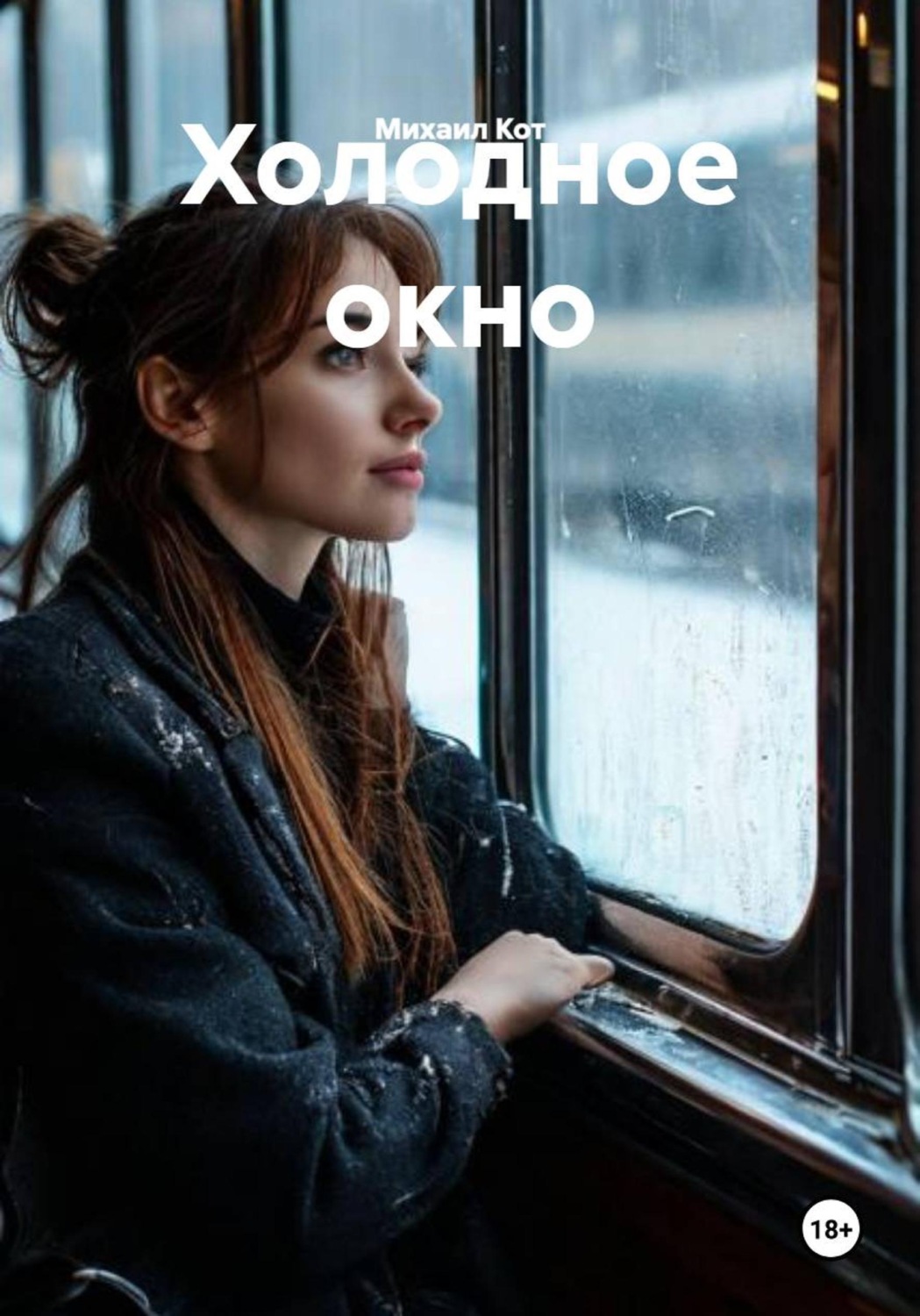 Обложка книги «Холодное окно»