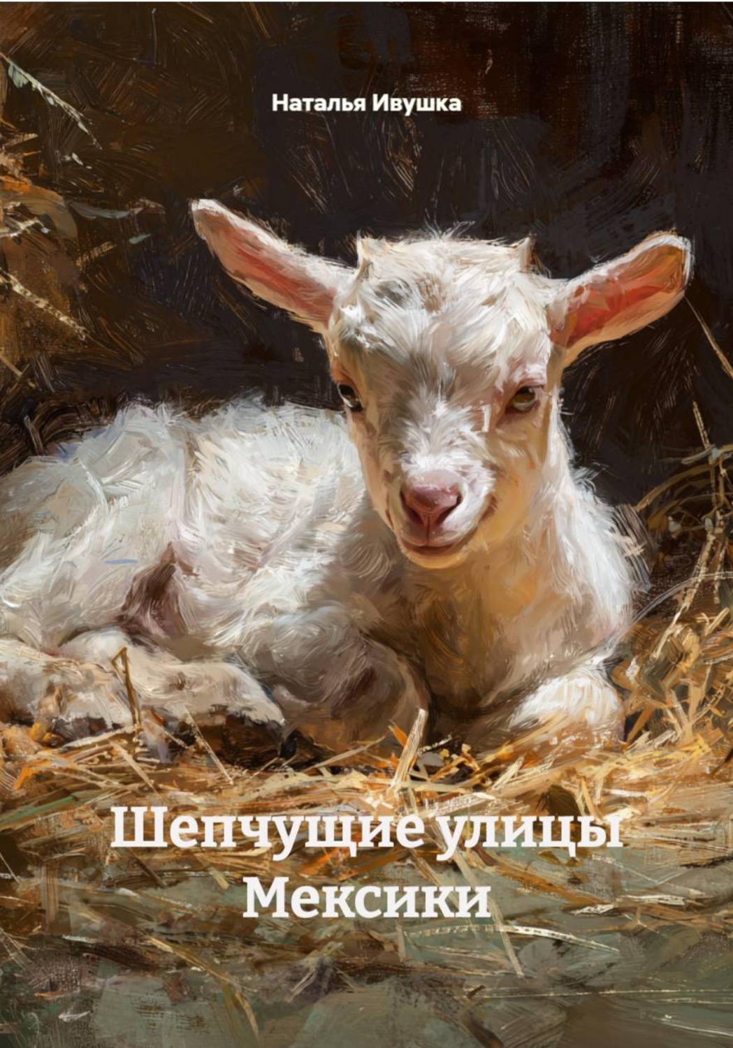 Обложка книги «Шепчущие улицы Мексики»