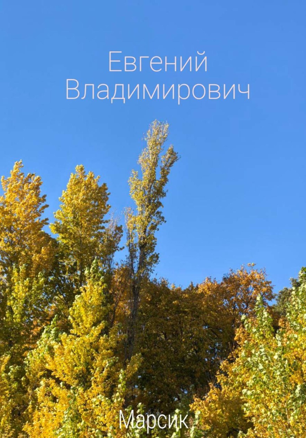 Обложка книги «Евгений Владимирович»
