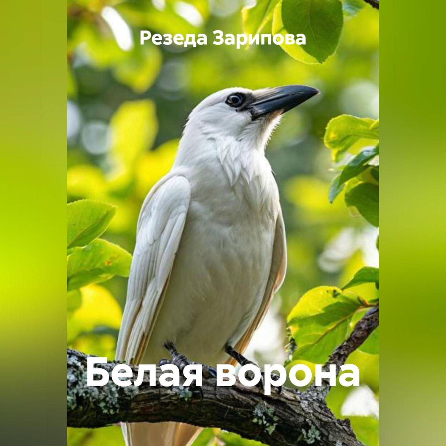Обложка книги «Белая ворона»