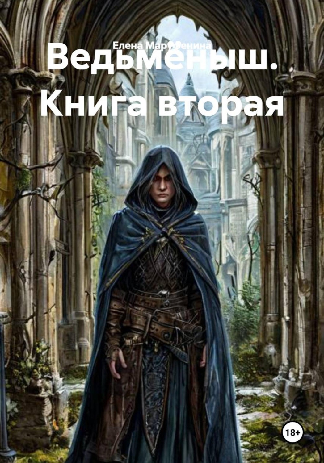 Обложка книги «Ведьмёныш. Книга вторая»
