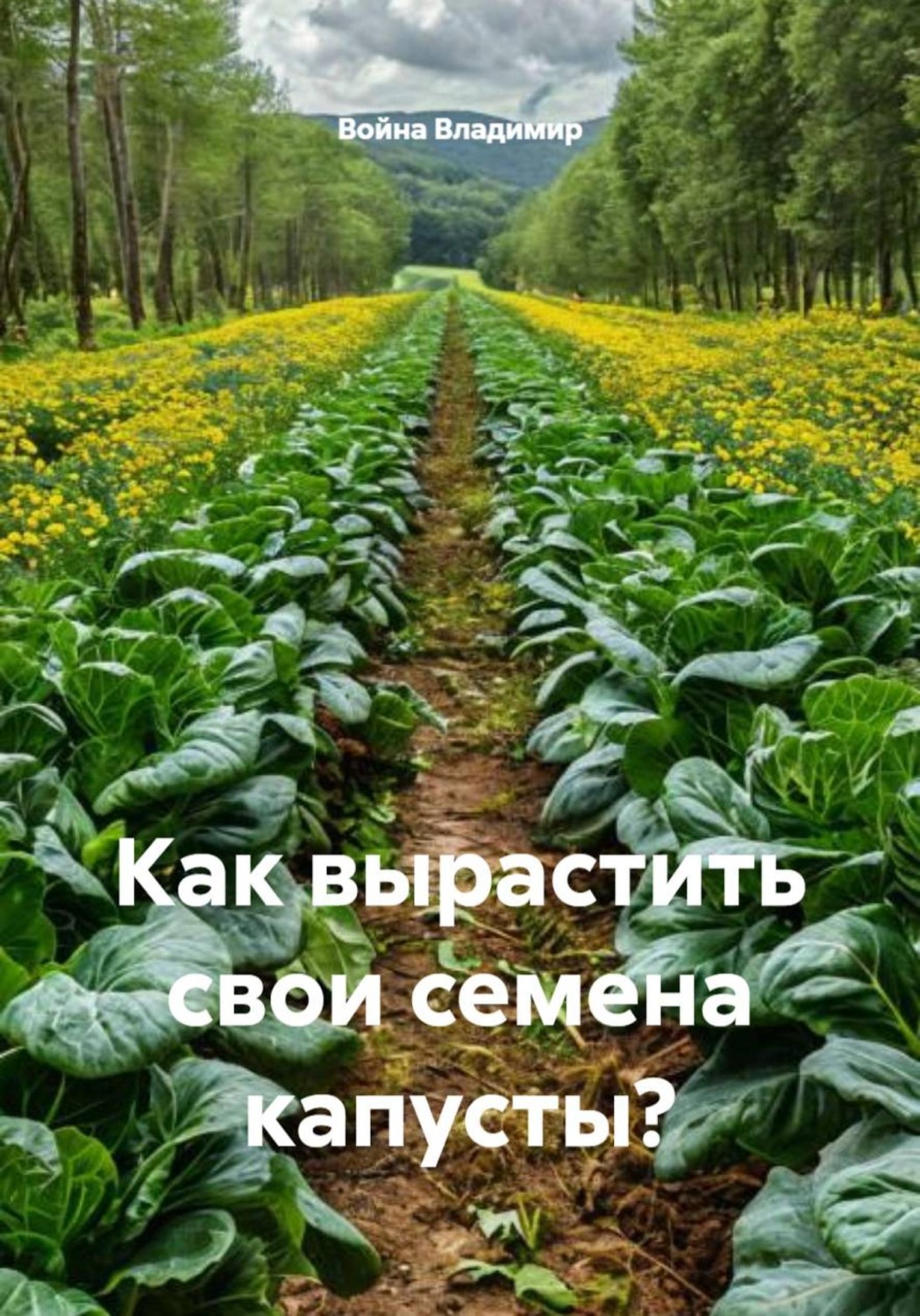 Обложка книги «Как вырастить свои семена капусты?»