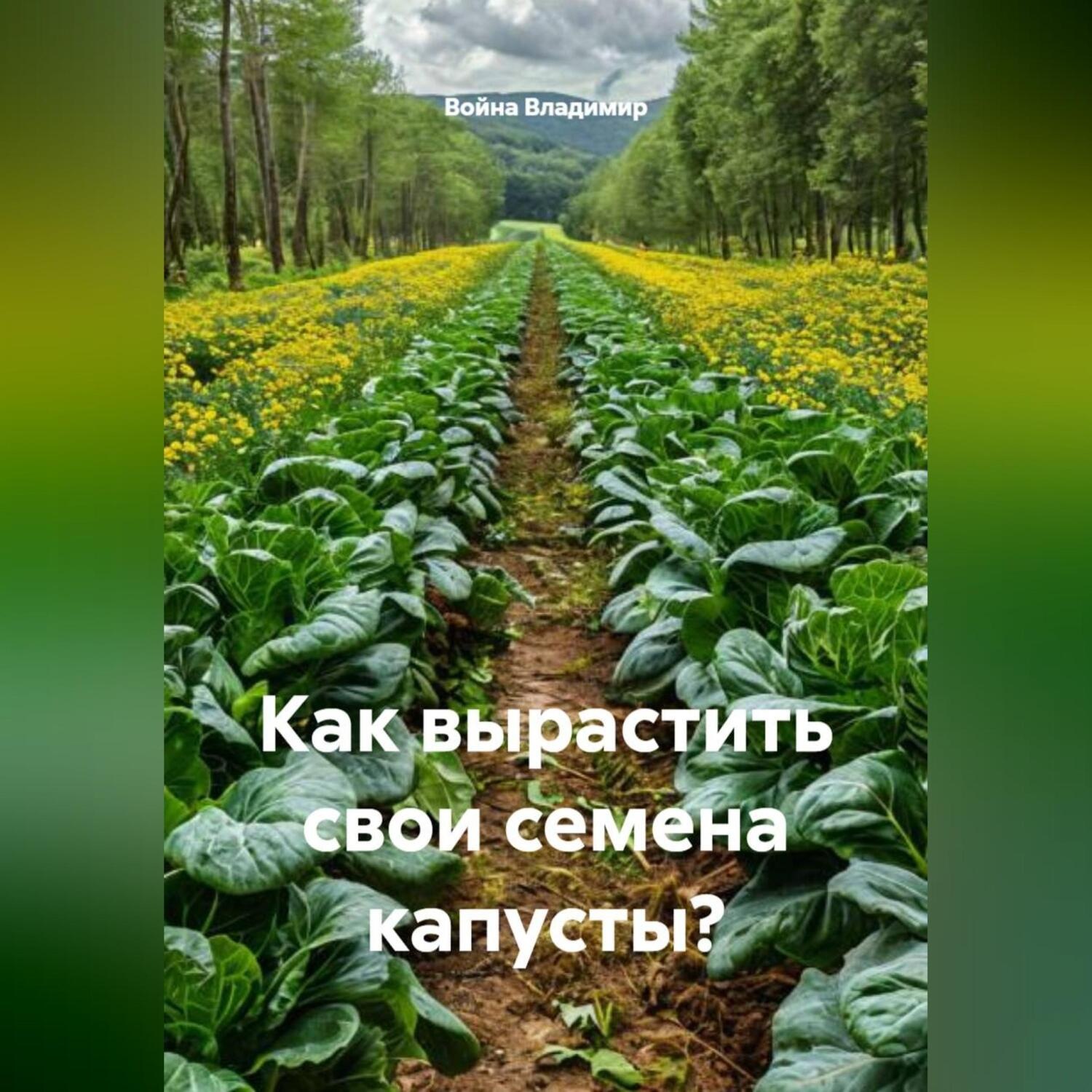 Обложка книги «Как вырастить свои семена капусты?»