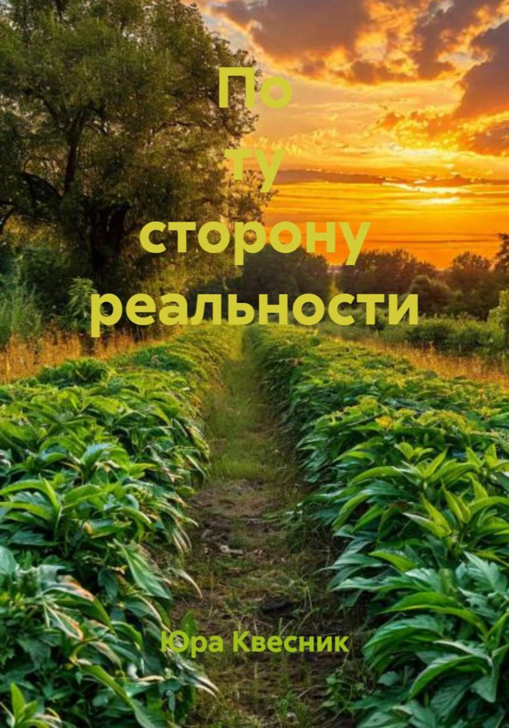 Обложка книги «По ту сторону реальности»