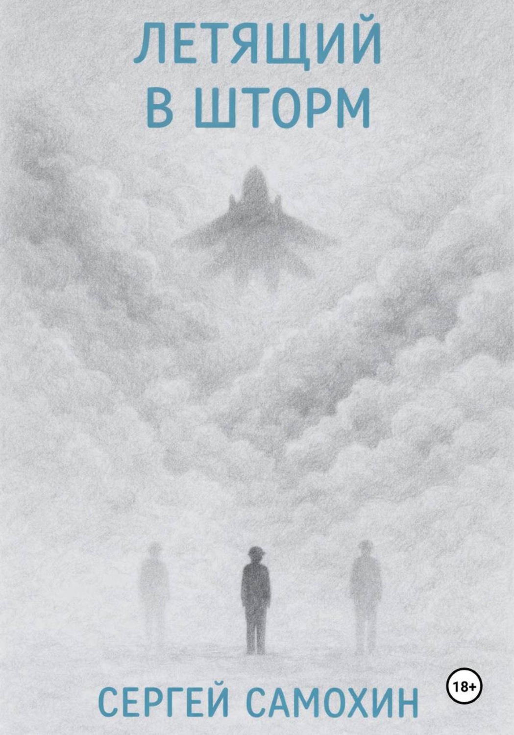 Обложка книги «Летящий в шторм»
