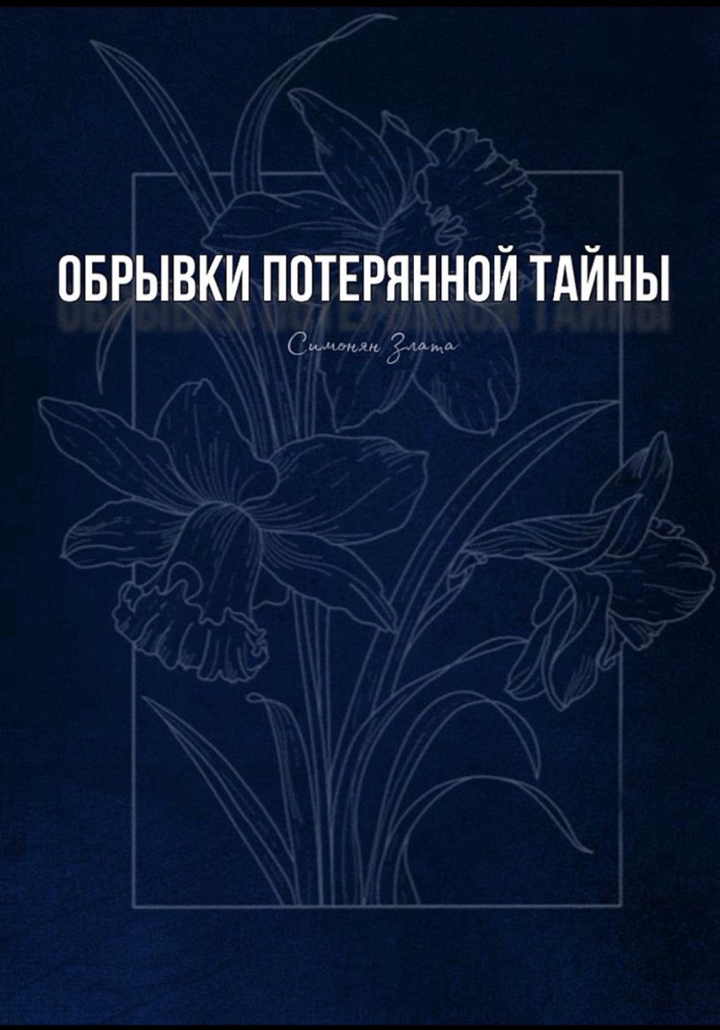Обложка книги «Обрывки потерянной тайны»