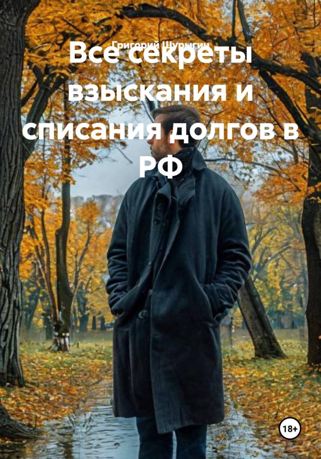 Обложка книги «Все секреты взыскания и списания долгов в РФ»