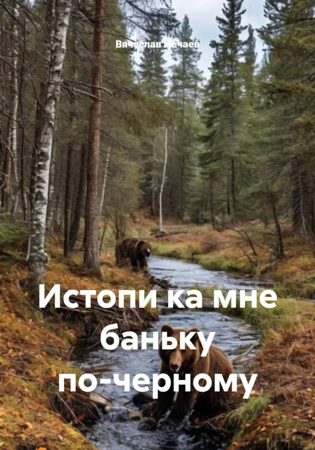 Обложка книги «Истопи ка мне баньку по-черному»