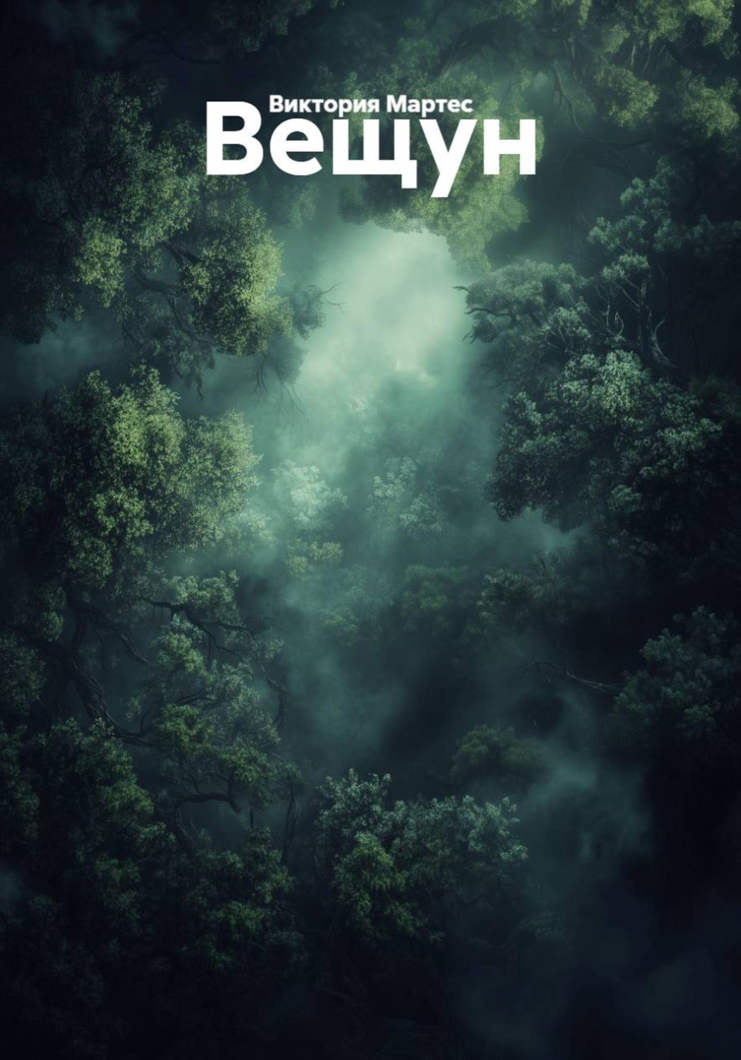 Обложка книги «Вещун»