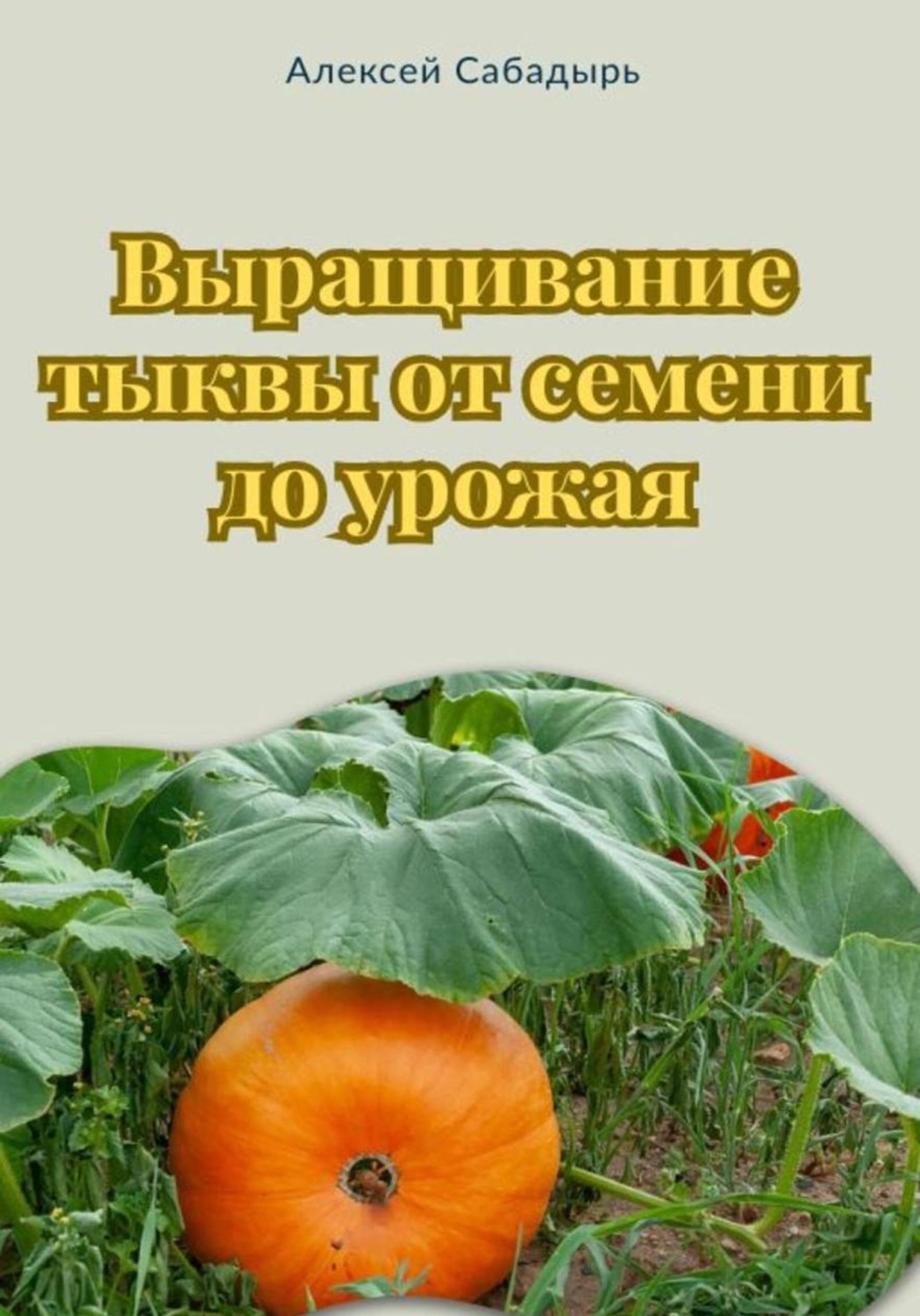 Обложка книги «Выращивание тыквы от семени до урожая»