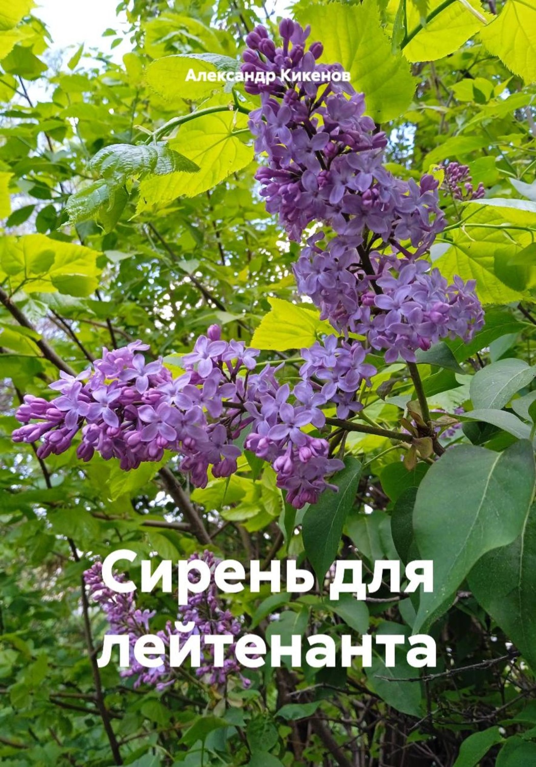 Обложка книги «Сирень для лейтенанта»
