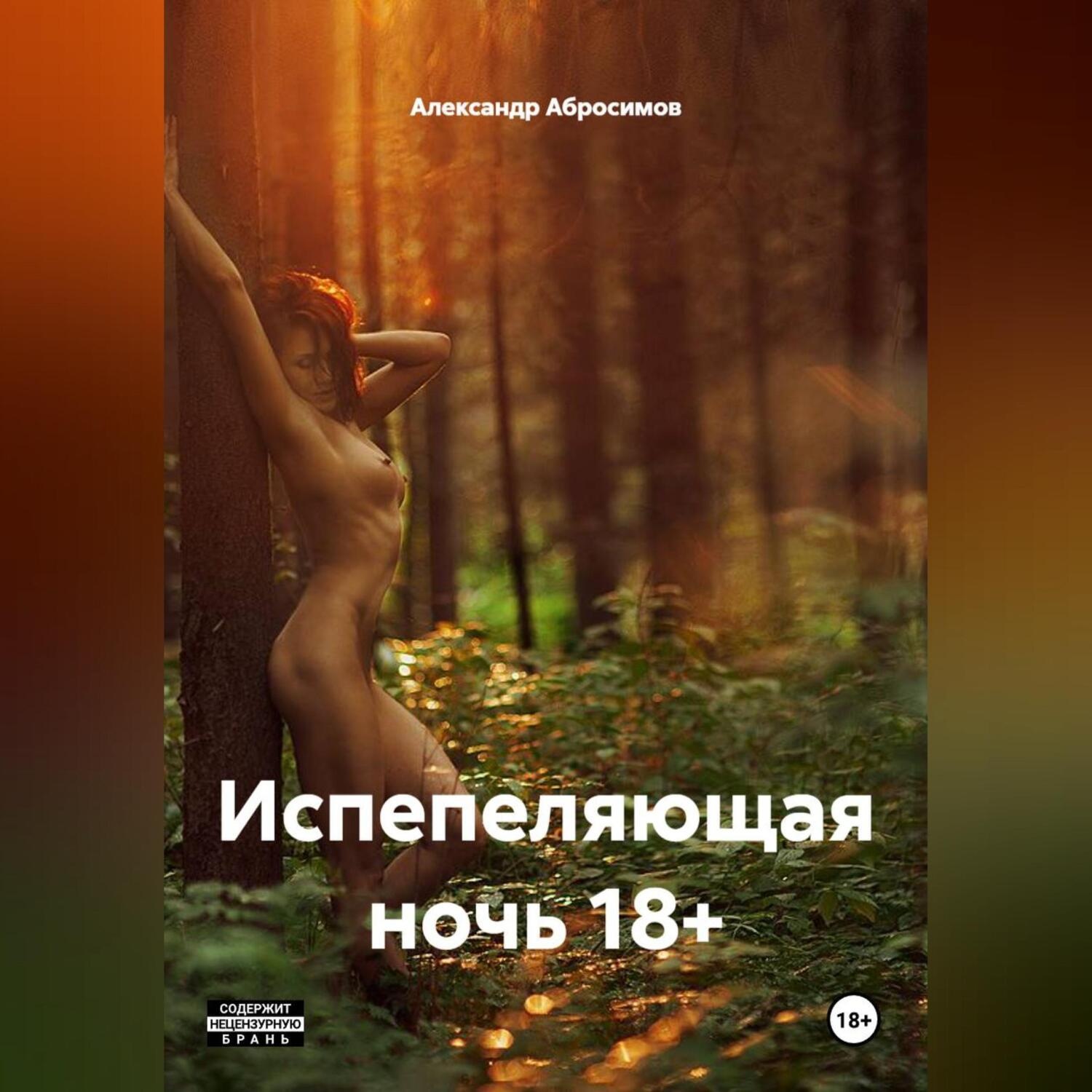 Обложка книги «Испепеляющая ночь 18+»