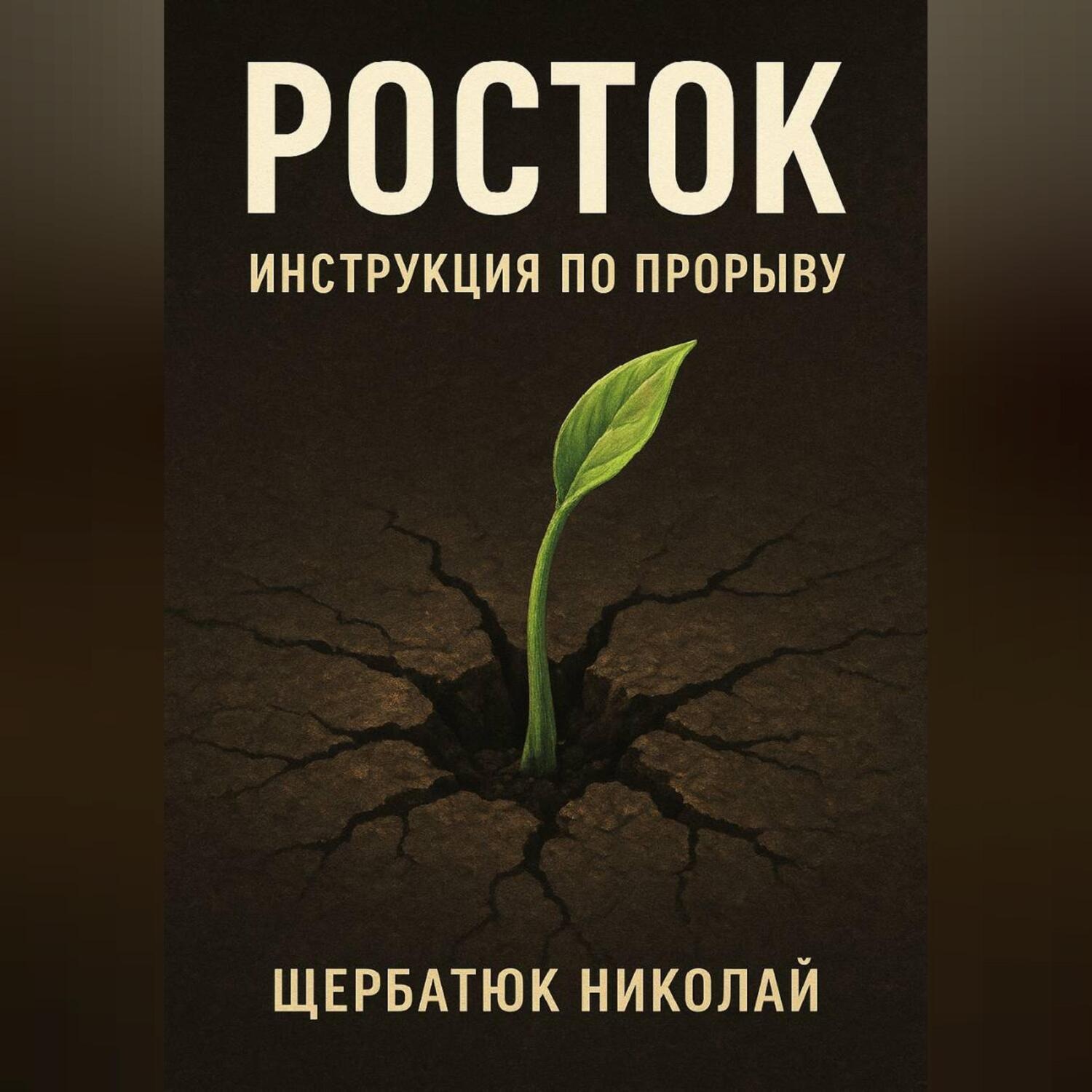 Обложка книги «Росток: Инструкция по Прорыву»