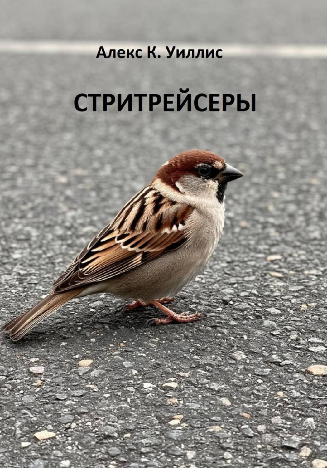 Обложка книги «Стритрейсеры»