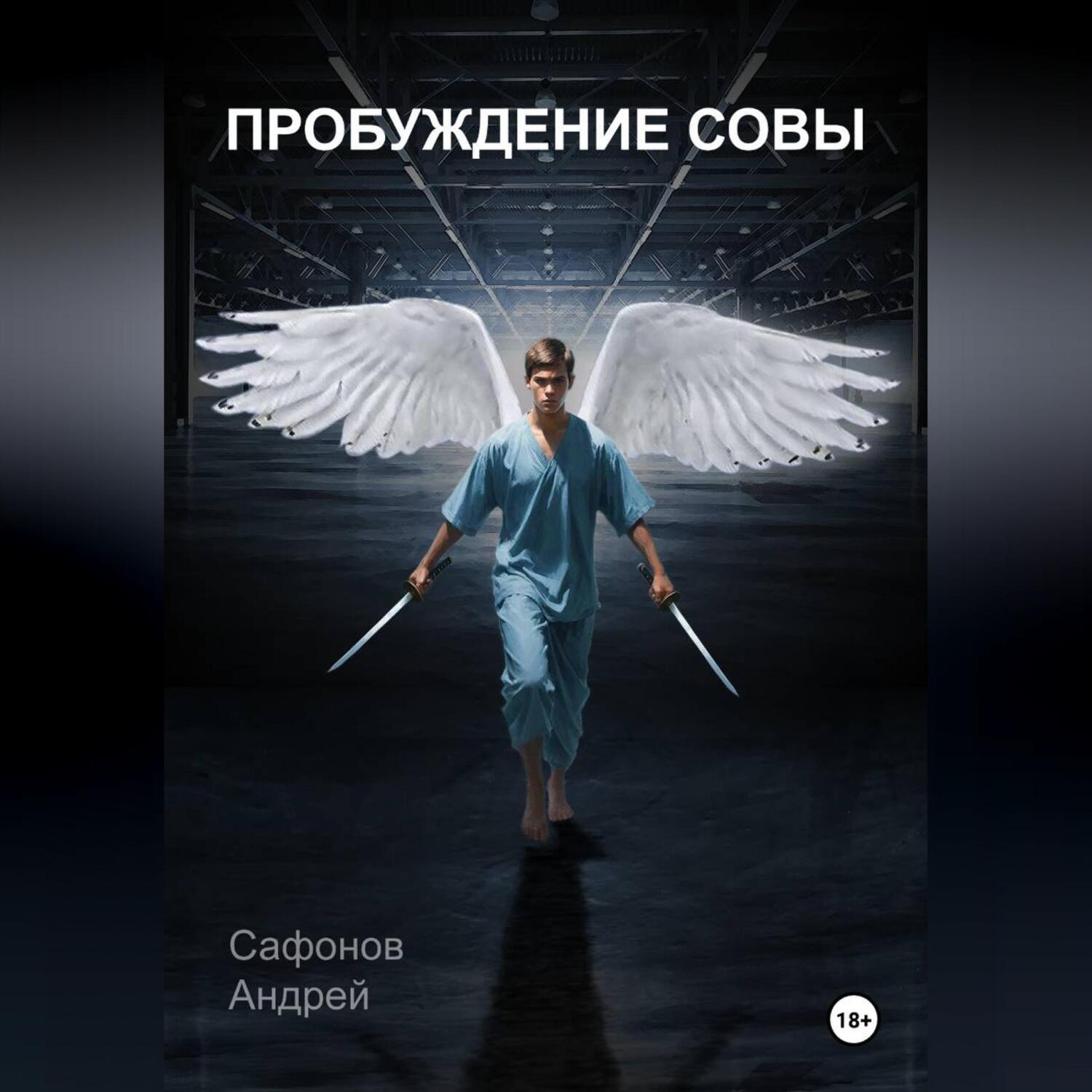 Обложка книги «Пробуждение совы»