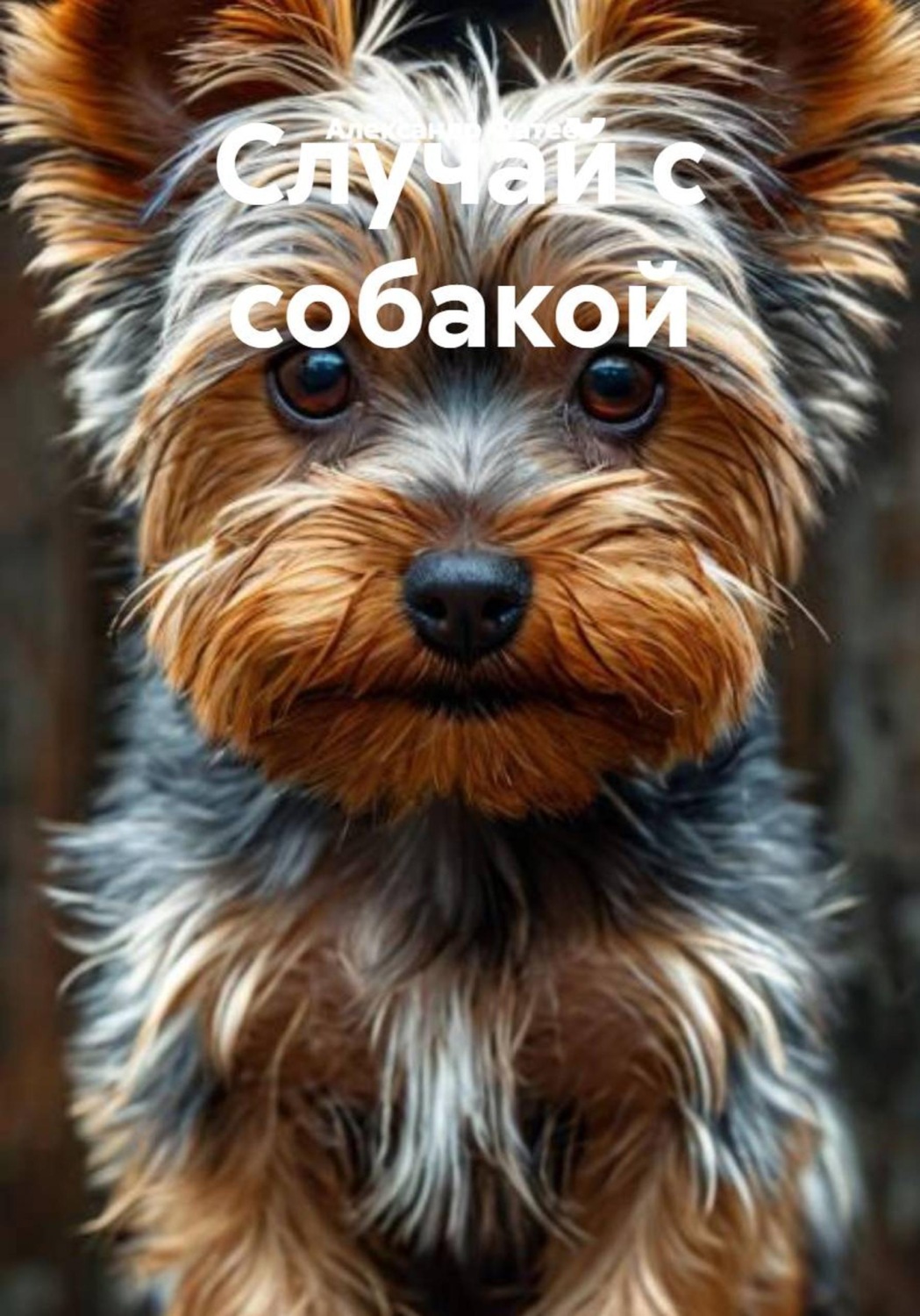 Обложка книги «Случай с собакой»