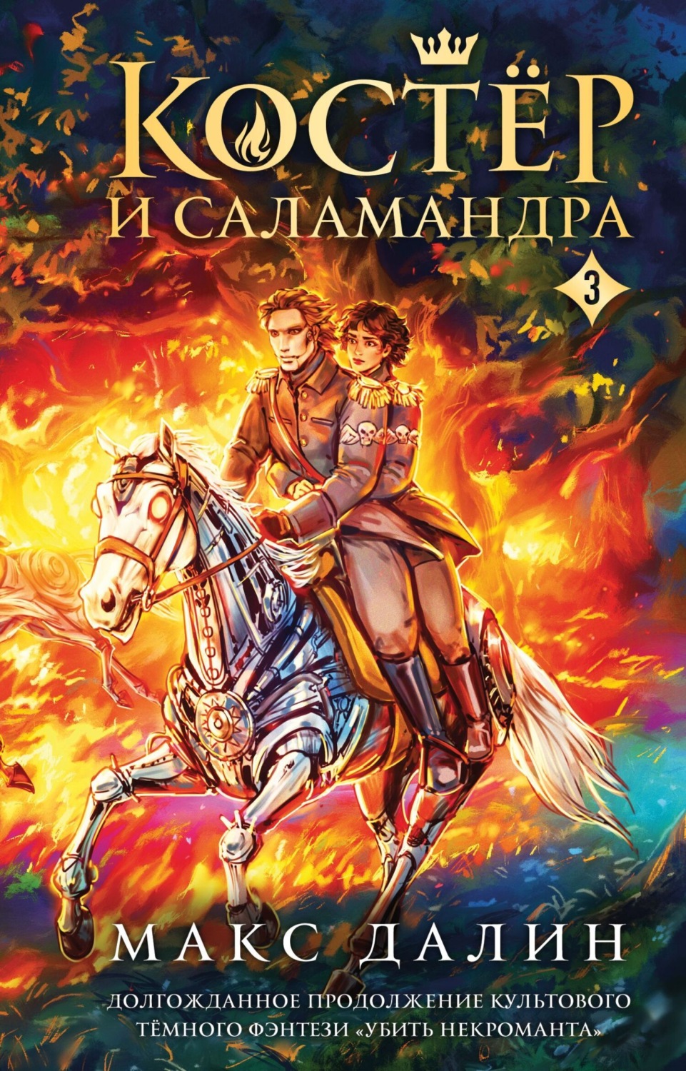 Обложка книги «Костер и Саламандра. Книга 3»
