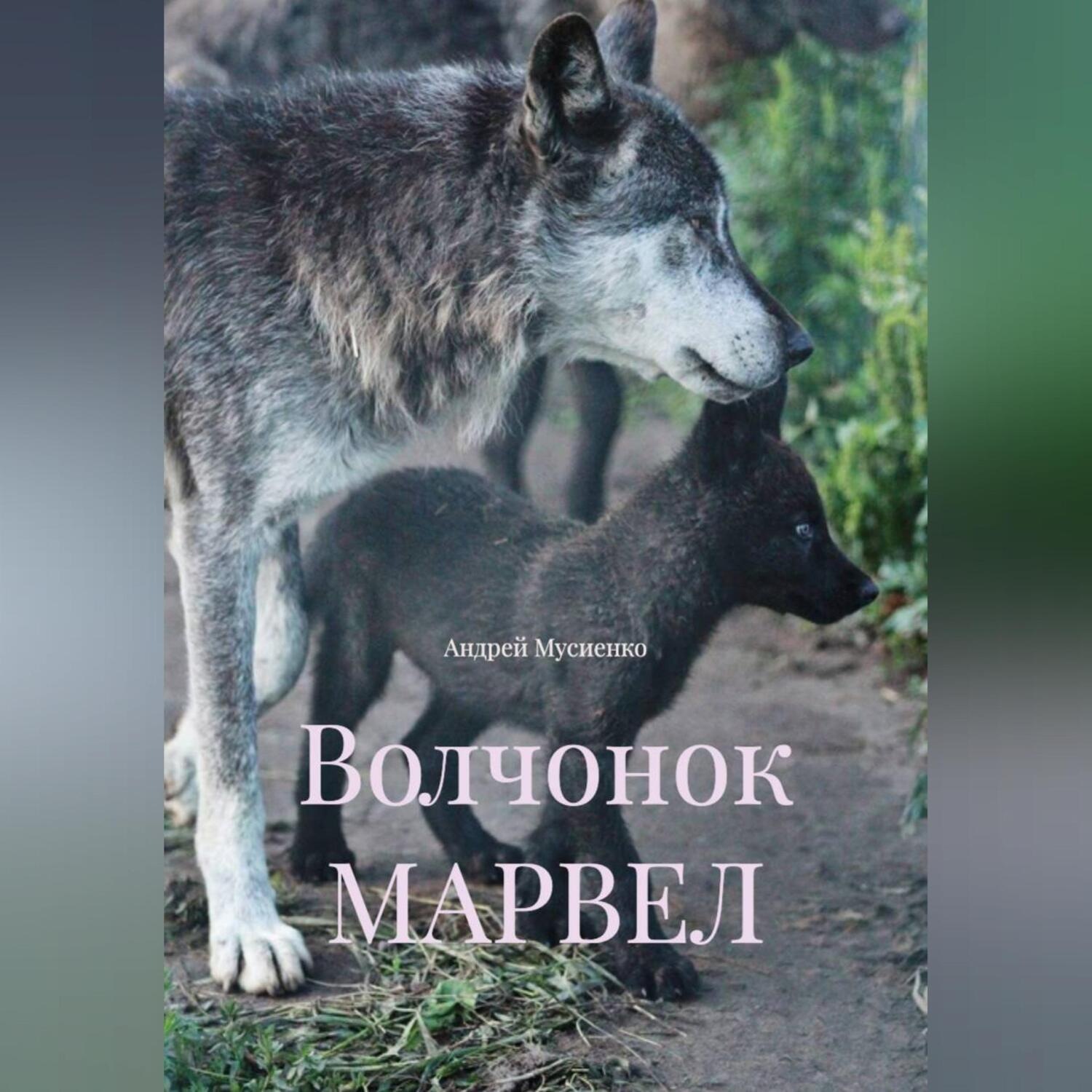 Обложка книги «Волчонок МАРВЕЛ»