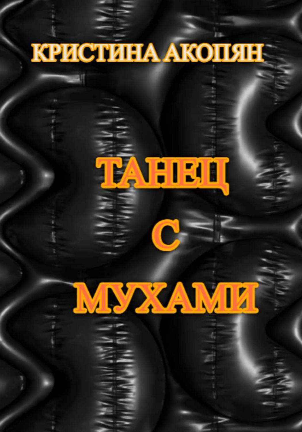 Обложка книги «Танец с мухами»