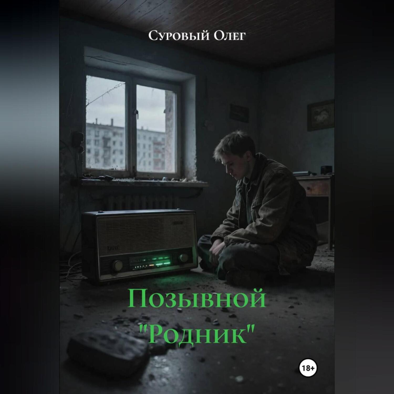 Обложка книги «Позывной «Родник»»