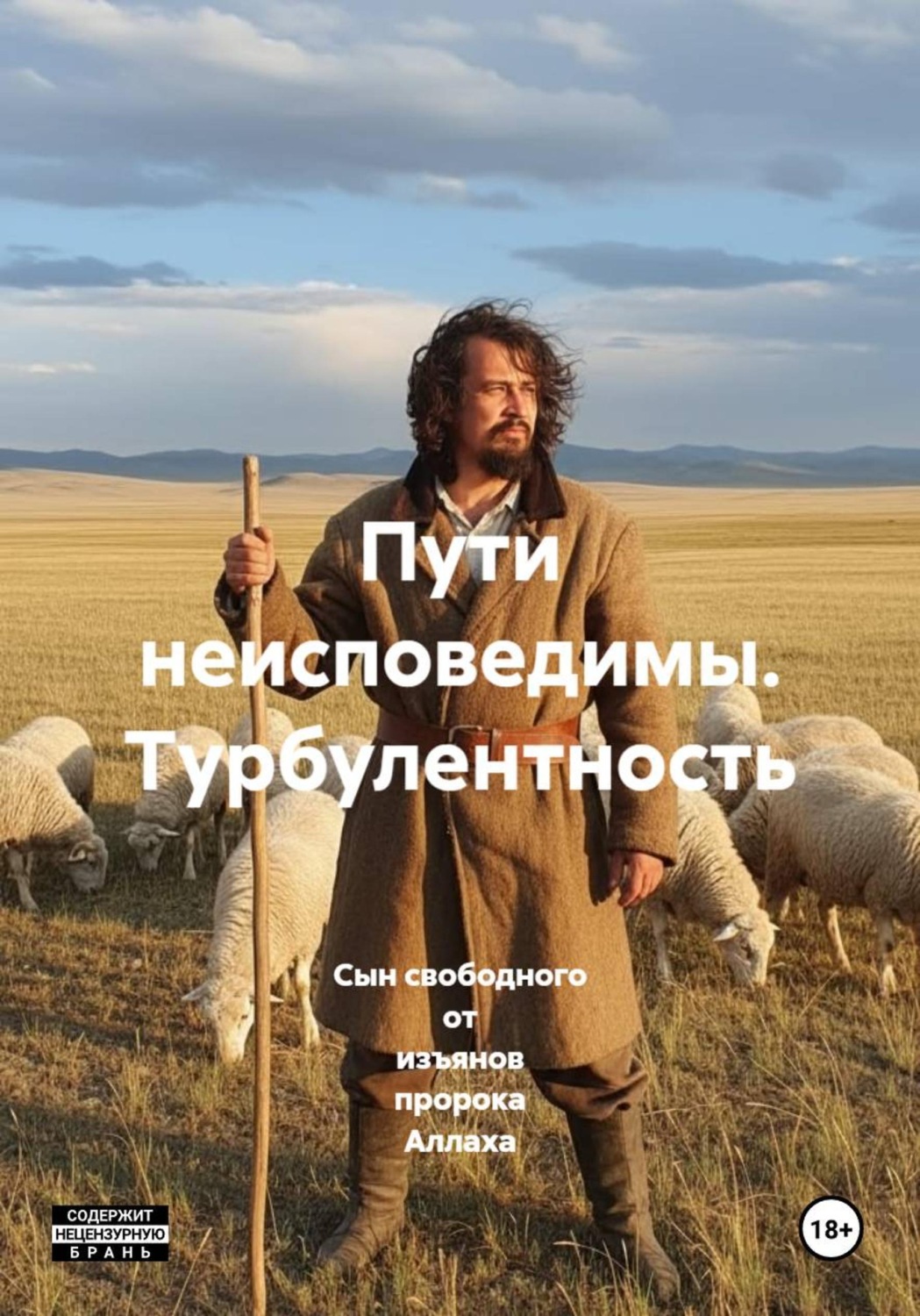 Обложка книги «Пути неисповедимы. Турбулентность»