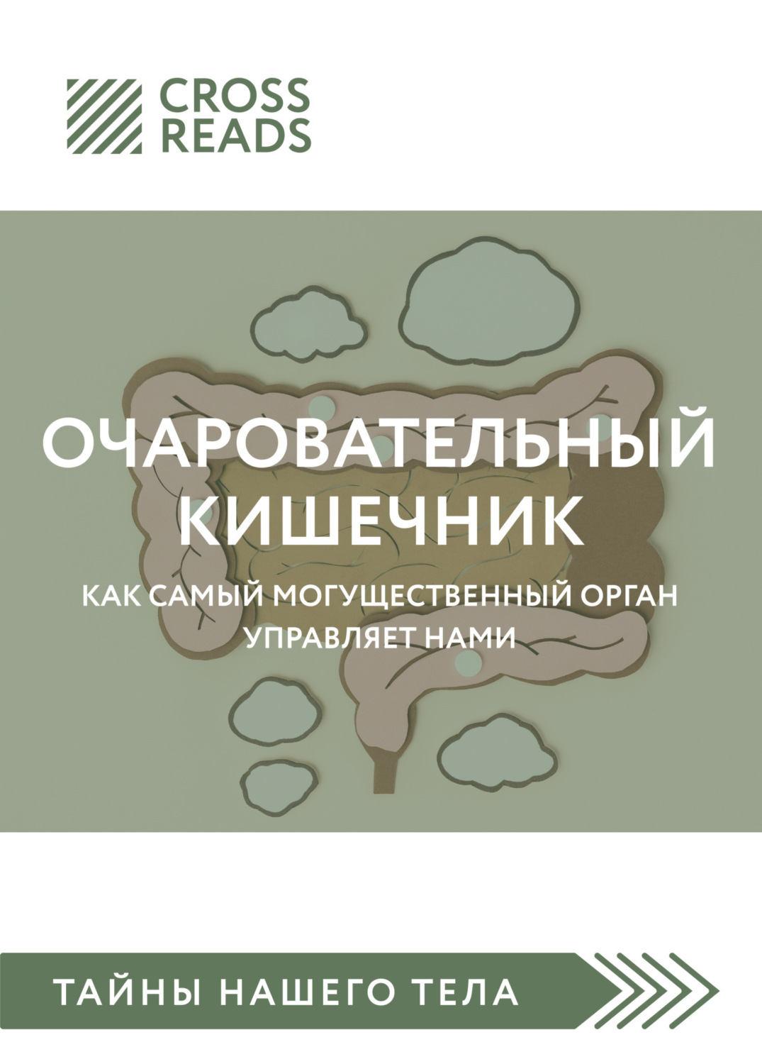 Обложка книги «Саммари книги «Очаровательный кишечник. Как самый могущественный орган управляет нами»»