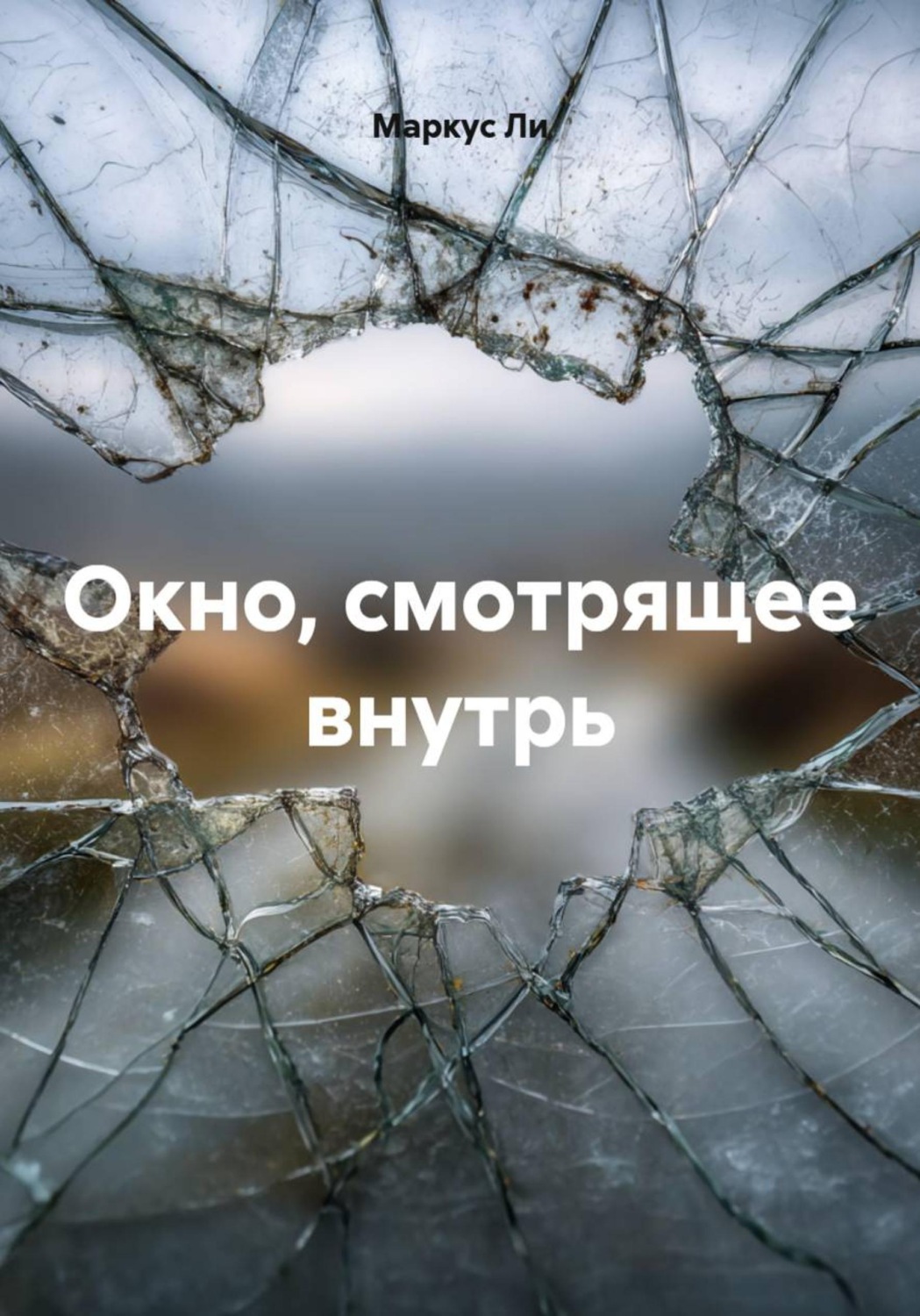 Обложка книги «Окно, смотрящее внутрь»