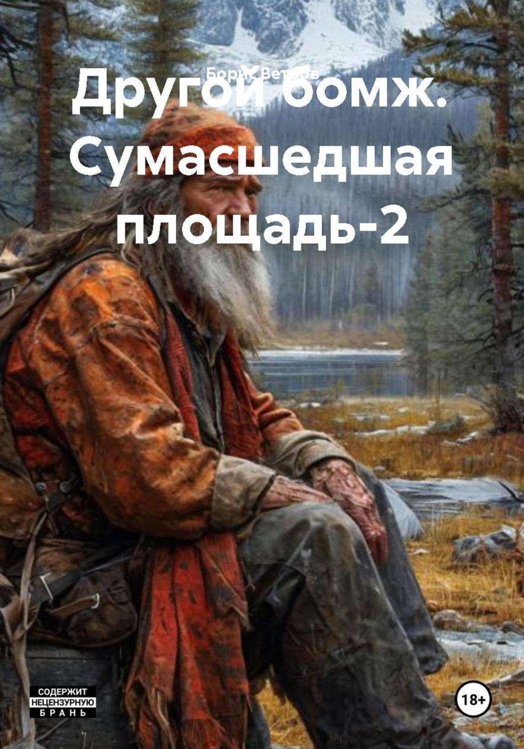 Обложка книги «Другой бомж. Сумасшедшая площадь-2»
