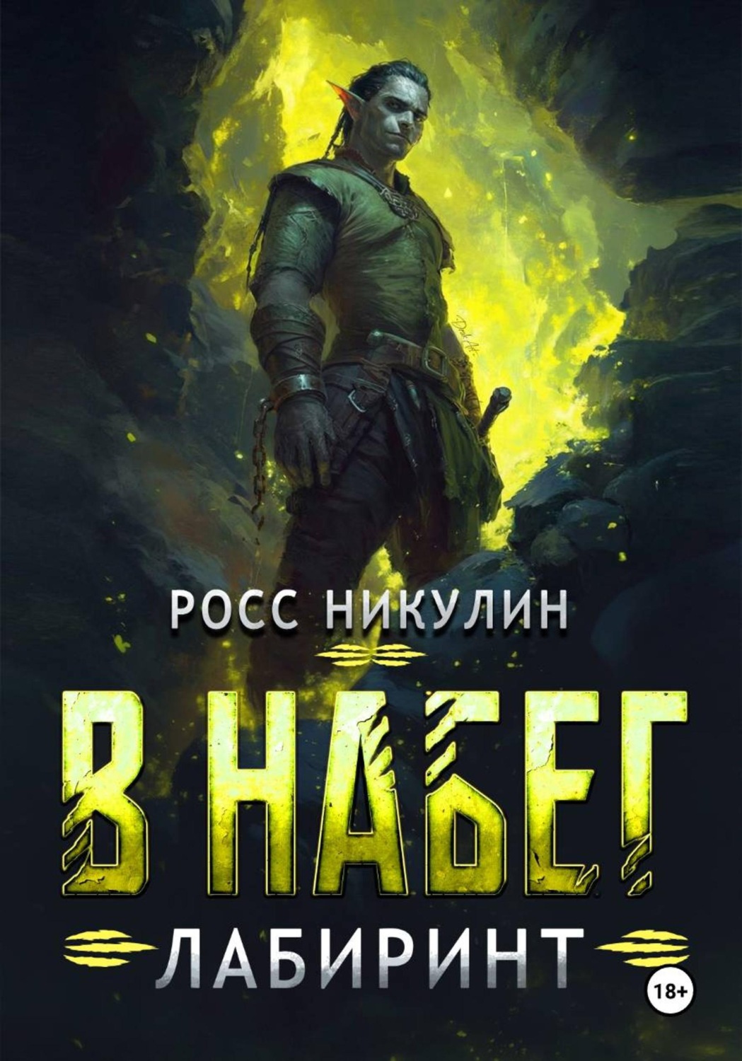 Обложка книги «В набег: Лабиринт»