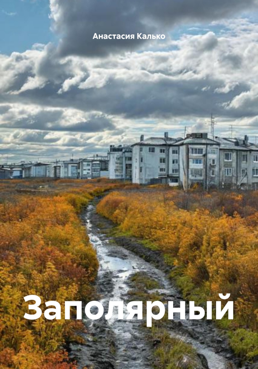 Обложка книги «Заполярный»