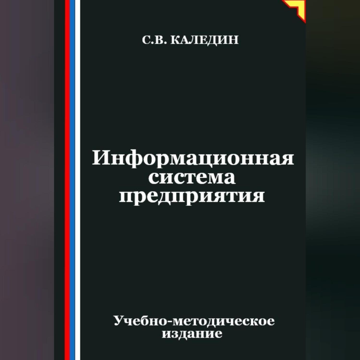 Обложка книги «Информационная система предприятия»
