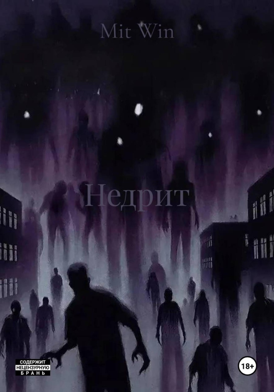 Обложка книги «Недрит»