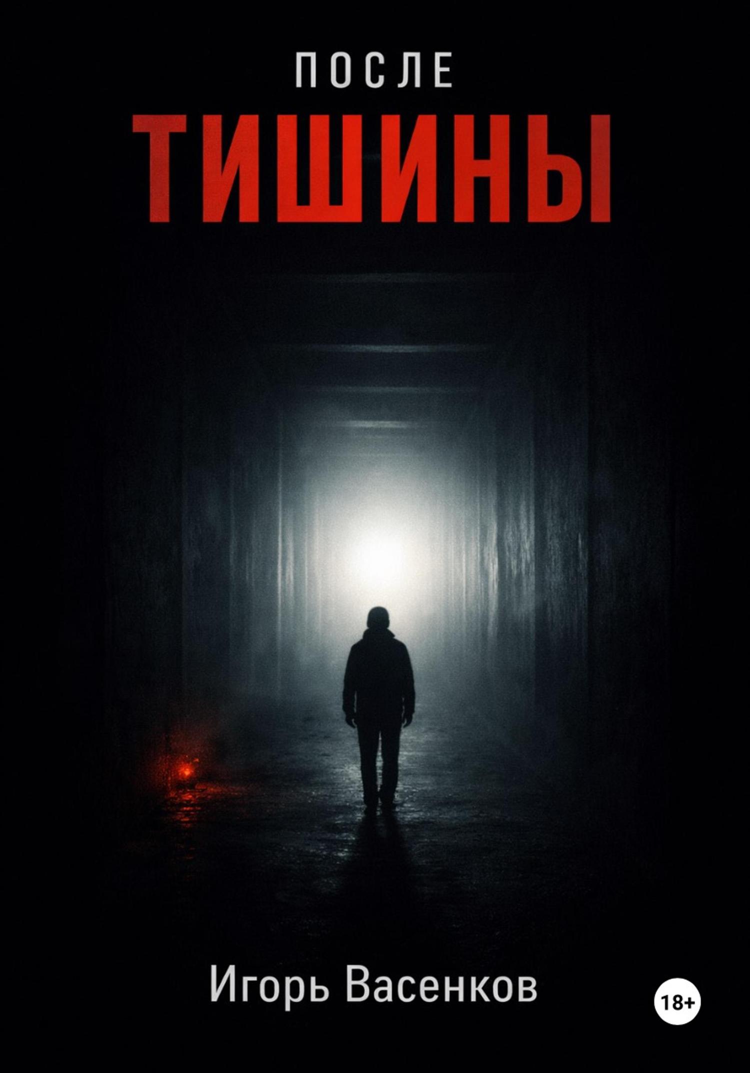 Обложка книги «После тишины»