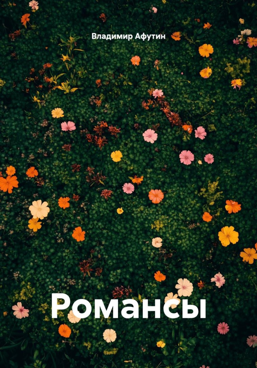 Обложка книги «Романсы»