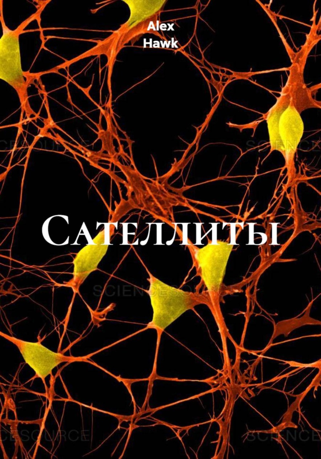 Обложка книги «Сателлиты»