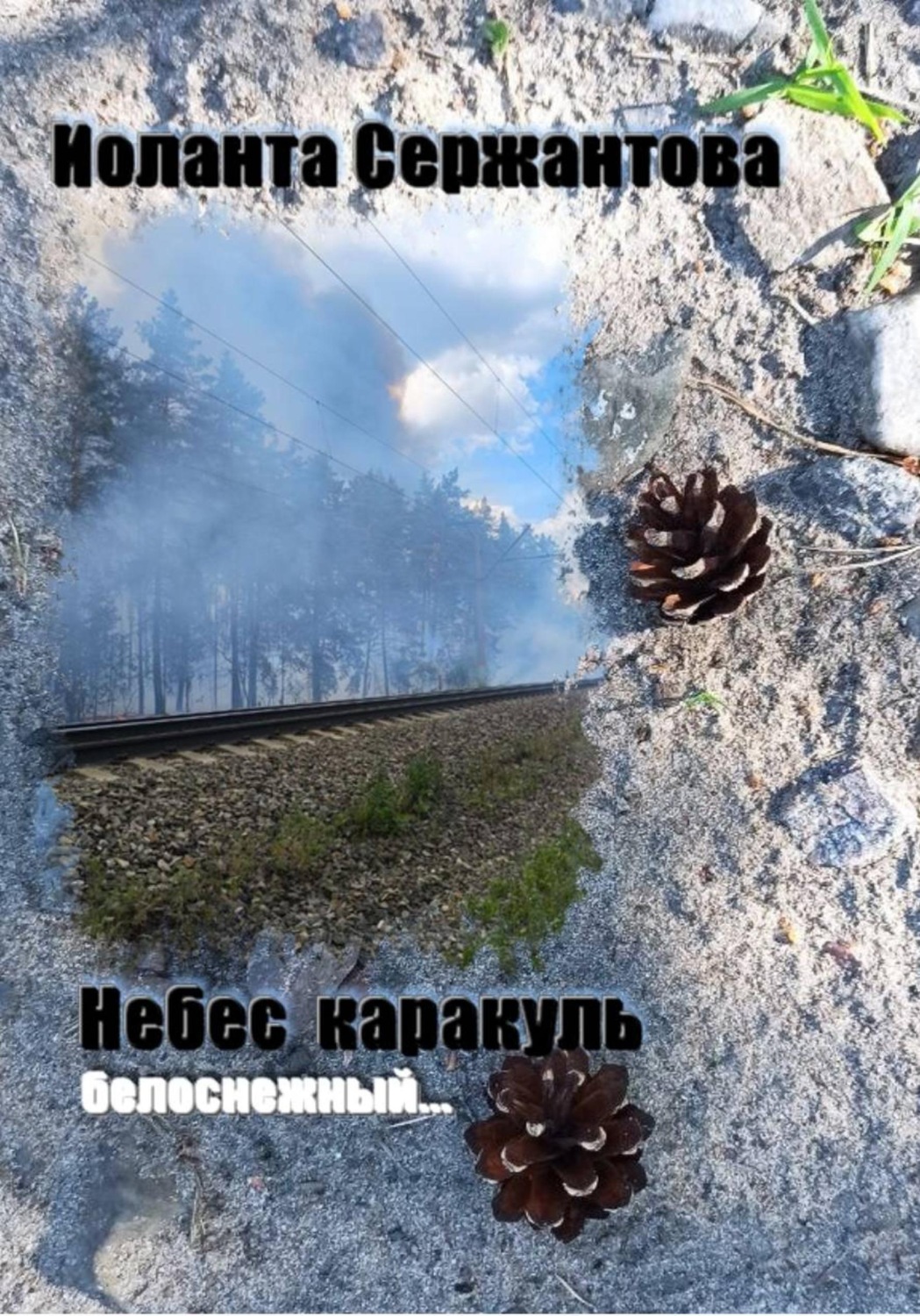 Обложка книги «Небес каракуль белоснежный…»