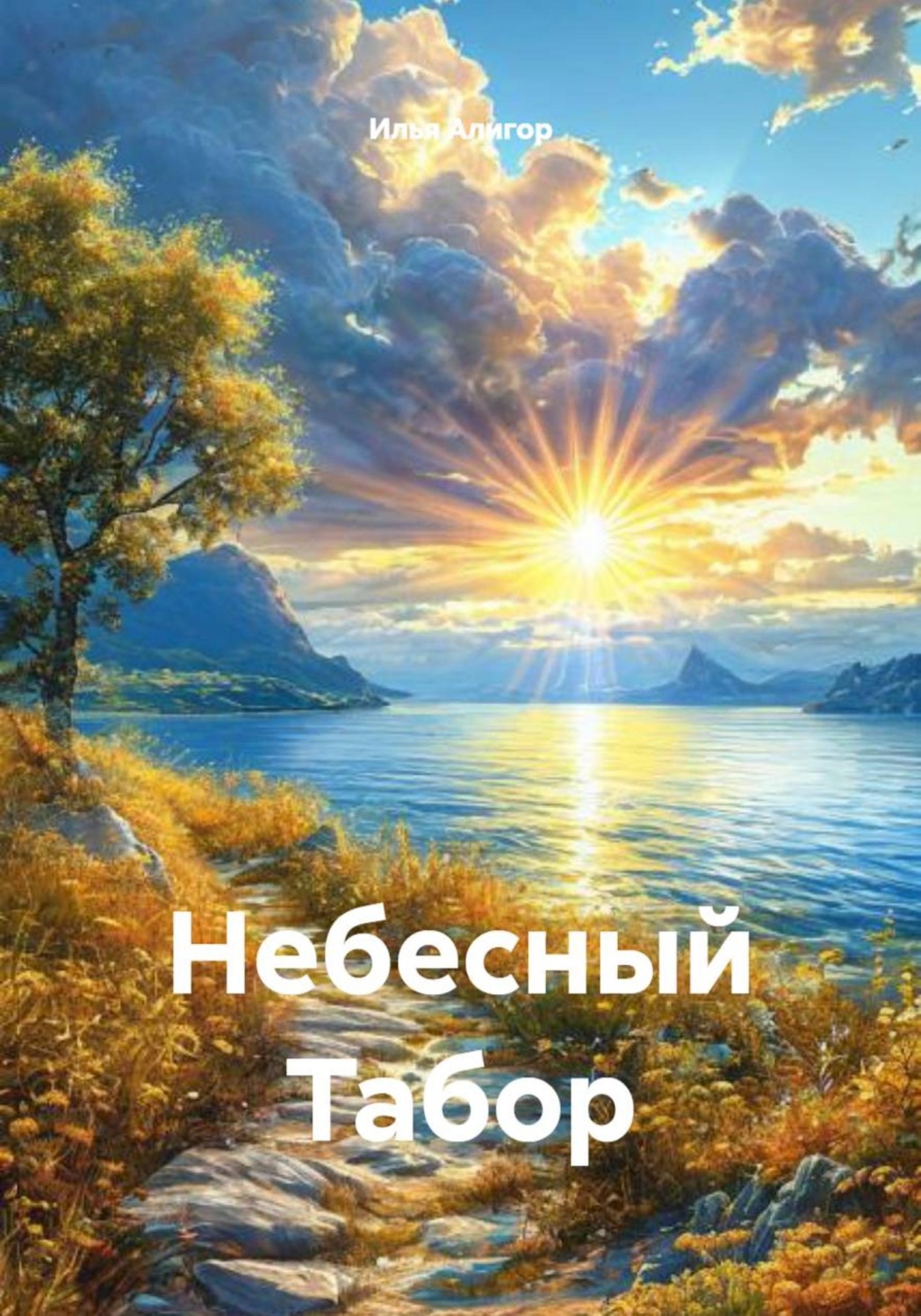 Обложка книги «Небесный Табор»