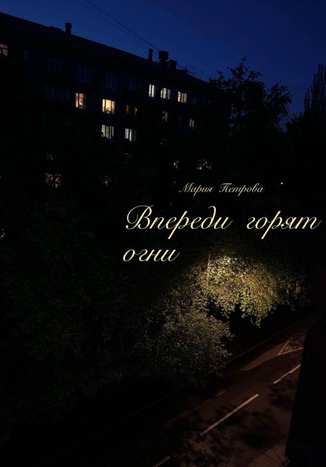 Обложка книги «Впереди горят огни»