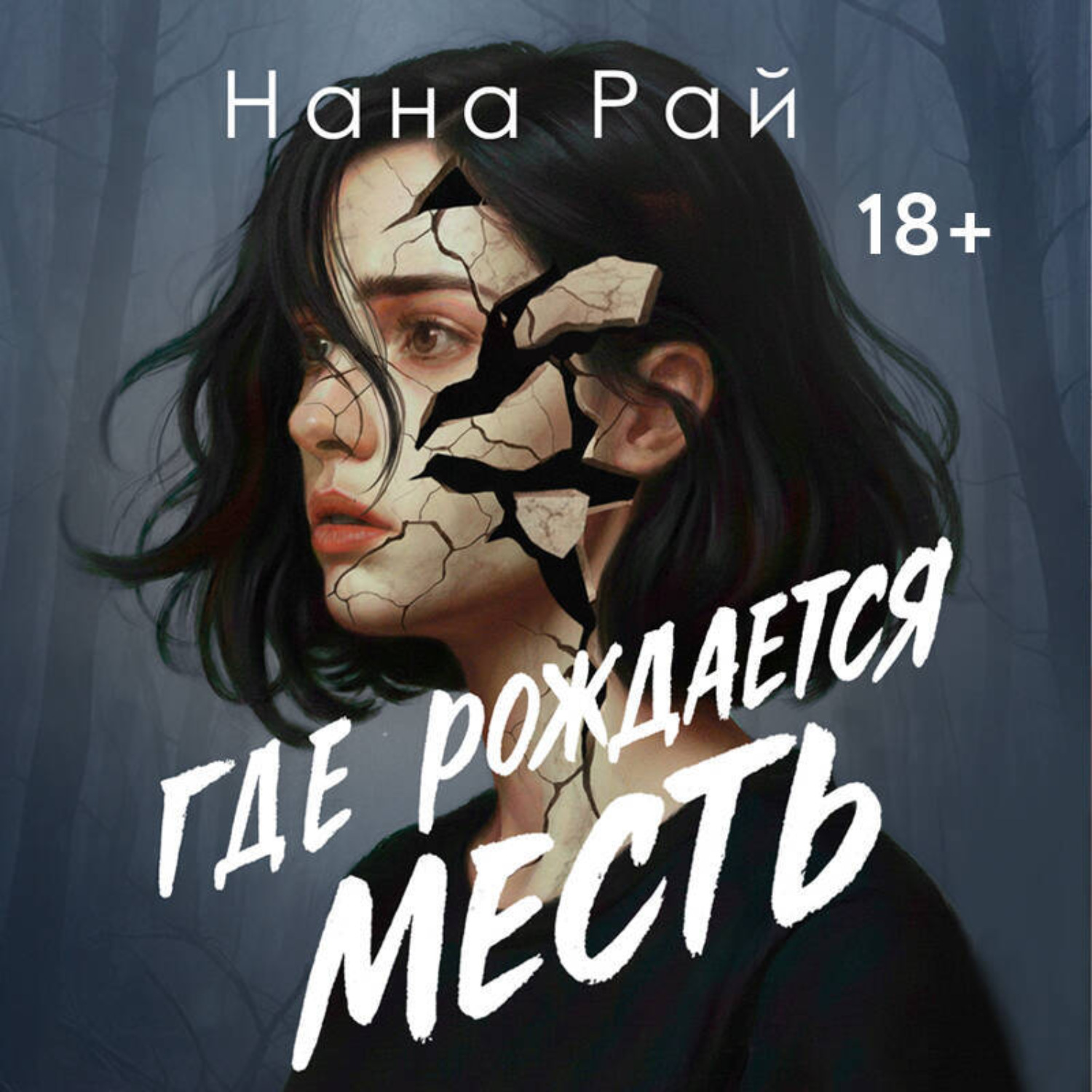 Обложка книги «Где рождается месть»