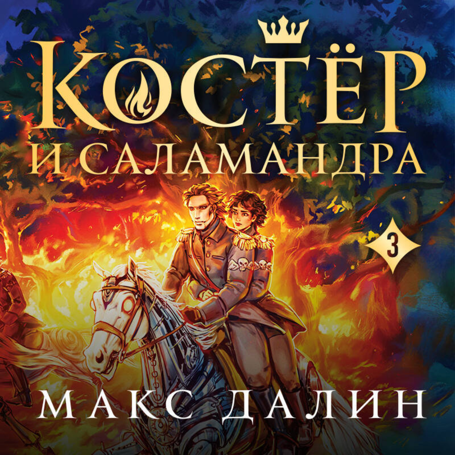 Обложка книги «Костер и Саламандра. Книга 3»