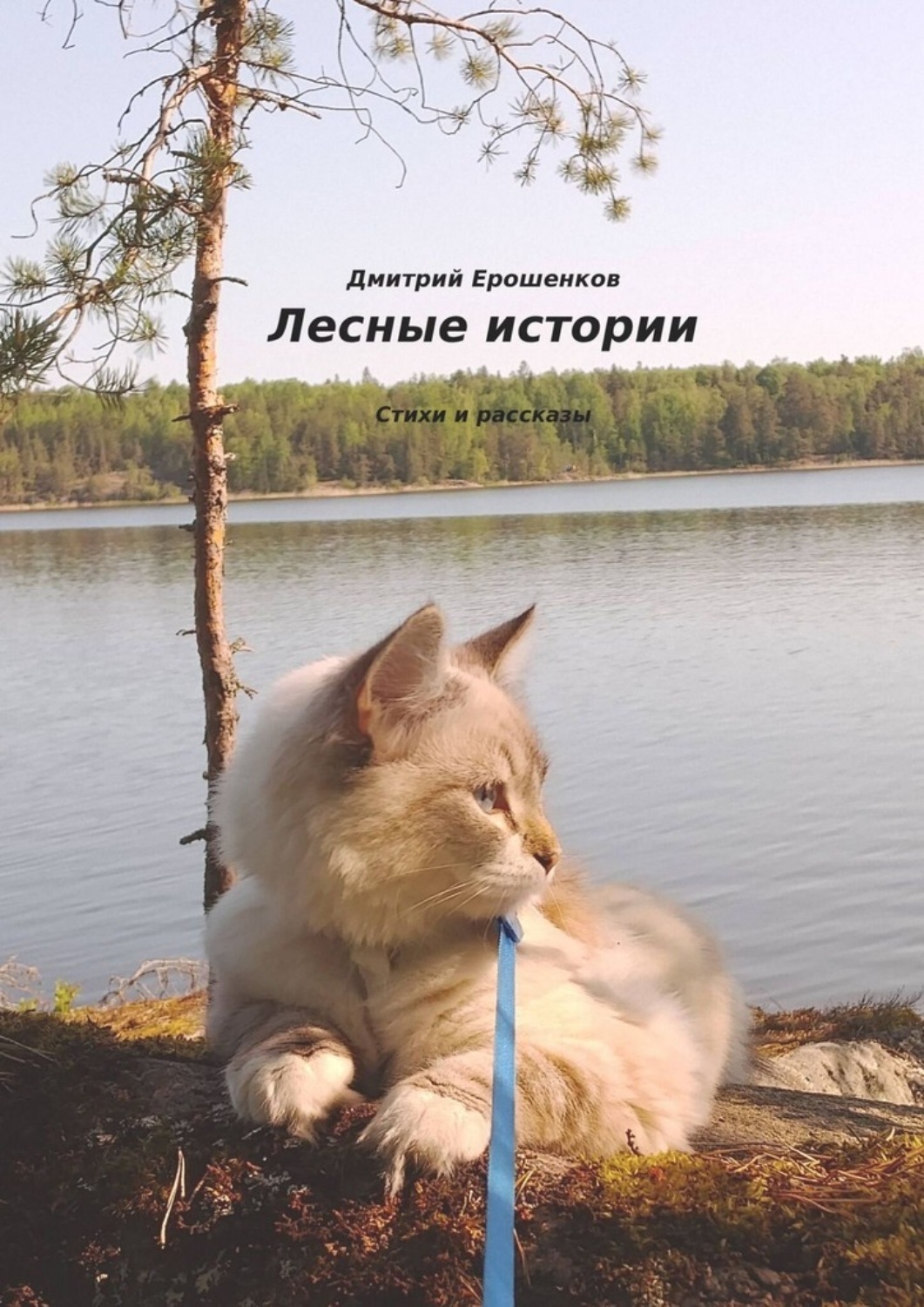 Обложка книги «Лесные истории»