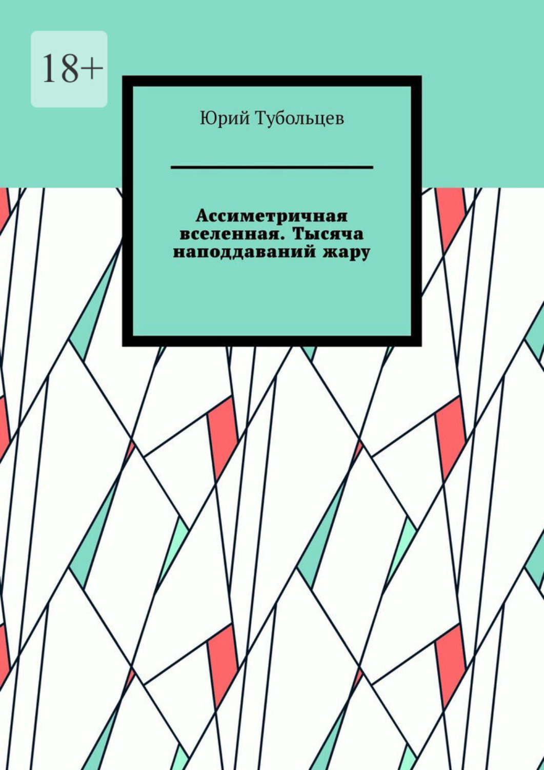 Обложка книги «Ассиметричная вселенная. Тысяча наподдаваний жару»