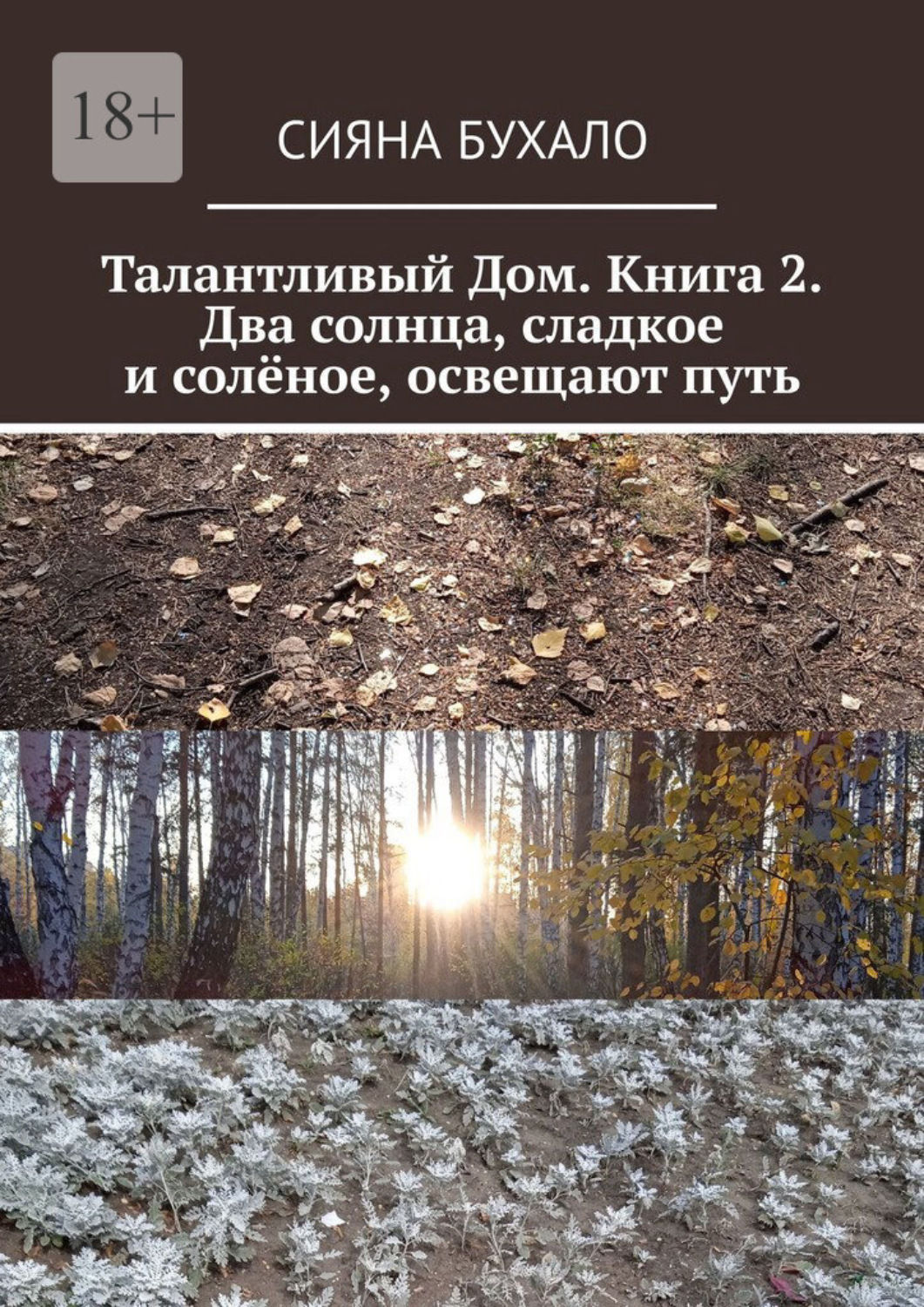 Обложка книги «Талантливый Дом. Книга 2. Два солнца, сладкое и солёное, освещают путь»