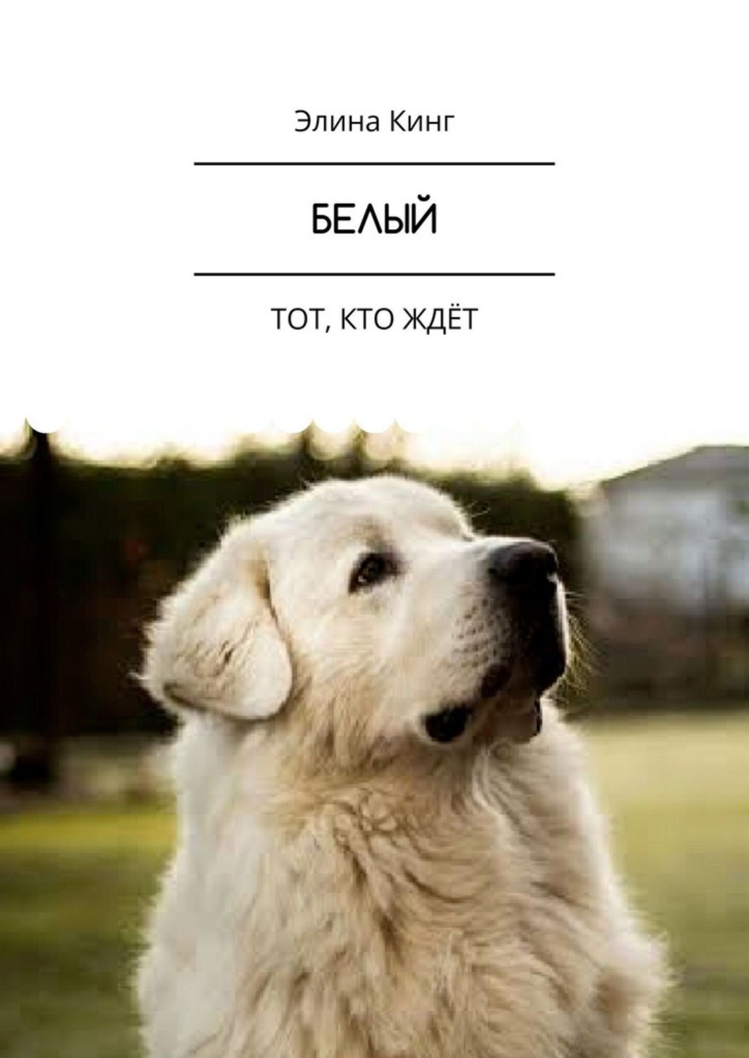 Обложка книги «Белый. Тот, кто ждёт»